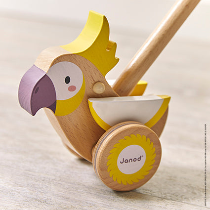 push along cockatoo by janod