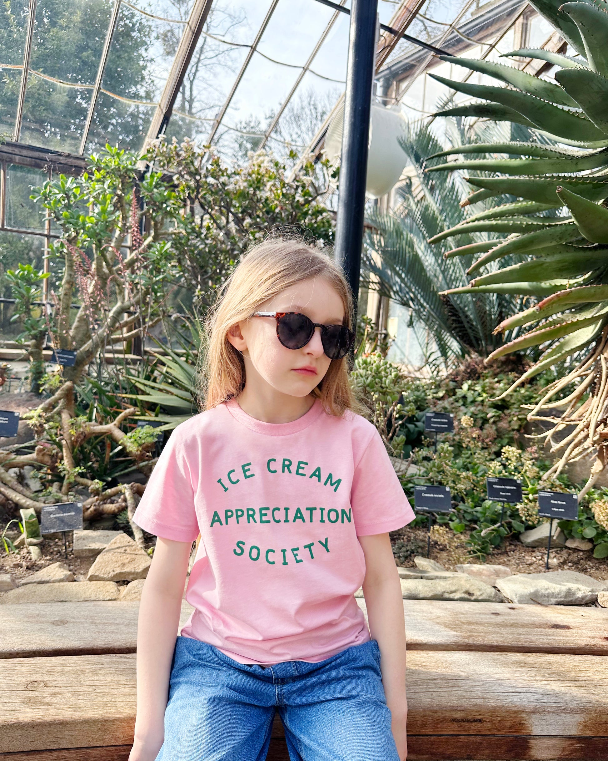 pink and green ice cream appreciation society logo t shirt at whippersnappers online